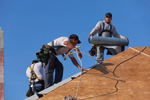 Roof Waterproofing Services in Bensenville, IL