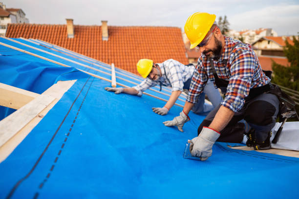 Best Metal Roofing Contractor  in Bensenvle, IL